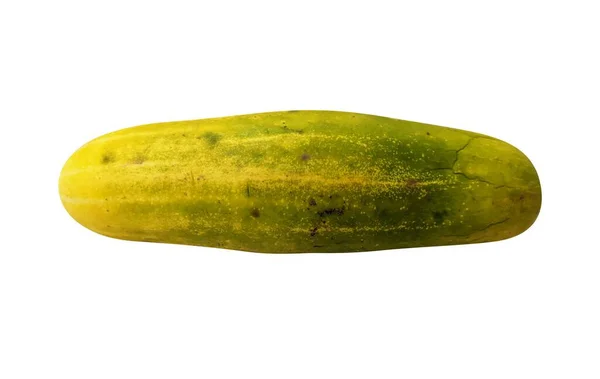 Komkommer Groenten Fruit Timun Ketimun Mentimun Geïsoleerd Witte Ondergrond — Stockfoto