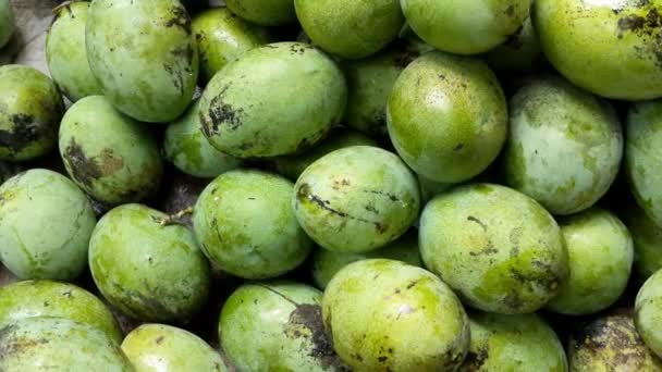 Stapel Manalagi Mangovruchten Veel Rijpe Groene Mango Lokale Mangovruchten Van — Stockvideo