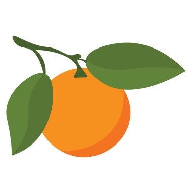 Yapraklı turuncu meyve, beyaz arkaplanda izole edilmiş vektör illüstrasyonu