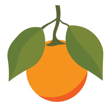 Taze portakal renkli meyve vektörü resmi, yapraklı turuncu, beyaz arka planda izole edilmiş.