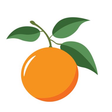 Yapraklı taze portakal meyvesi, vektör çizimi