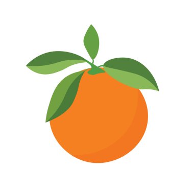 Renkli turuncu meyve vektör resmi, beyaz arkaplanda izole edilmiş