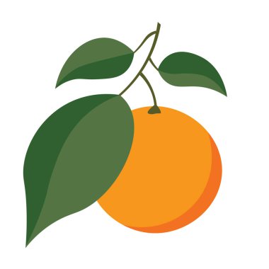 Yapraklı bir portakal meyvesi, beyaz arkaplanda izole edilmiş vektör çizimi