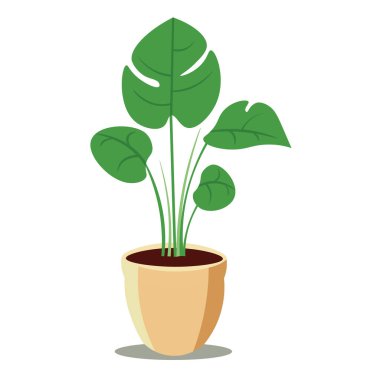 Monstera ev bitkisi ikon vektör çizimi