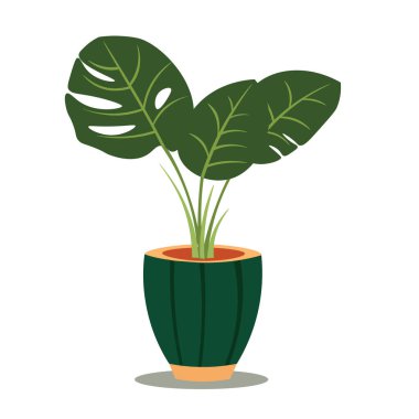 Canavar bitkisi saksıda, ev bitkileri klip sanatı, vektör illüstrasyon tasarım elementleri