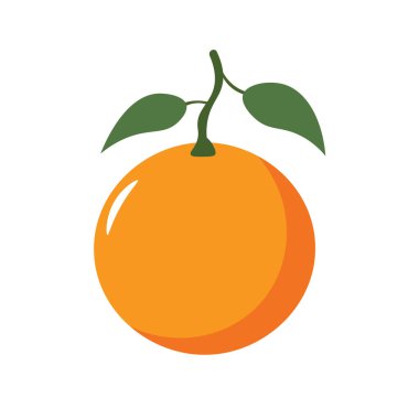 Renkli turuncu meyve vektörü illüstrasyonu