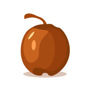 Beyaz arkaplanda kahverengi hindistan cevizi meyve ikonu vektör illüstrasyonu, kelapa veya nyiur izole edilmiş.