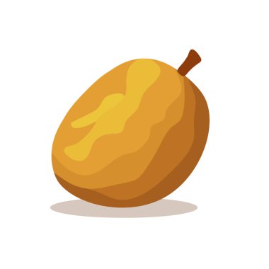 Sawo veya sapodilla vektör ilülasyonu, manilkara zapota veya chicoo veya chicle image, naseberry veya nispero, beyaz arkaplanda izole edilmiş soapapple 