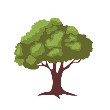 Çizgi film yeşil ağaç çizimi, düz orman ağacı resmi, beyaz arka planda izole edilmiş doğa bitkisi. 