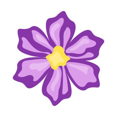 Mor çiçek vektör resmi, düz tasarım biçim illüstrasyonu, beyaz arkaplanda izole edilmiş