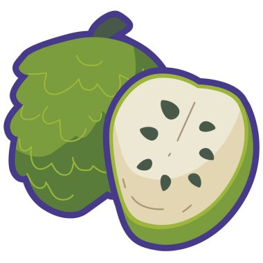 Sugar apple or sweetsop vector illustration, whole and half sliced fruit, custard apple or buah srikaya patek, soursop flat icon clipart