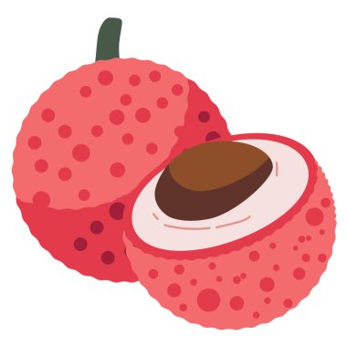 Lychee veya leci meyve vektör illüstrasyonu, litchi veya lichi beyaz arka planda izole edilmiş, timsah çileği clipart, litchi chinensis