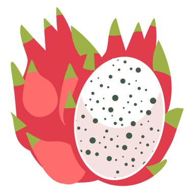 Dragon fruit vector illustration, buah naga isolated on white background, pitaya clipart, pitahaya image clipart