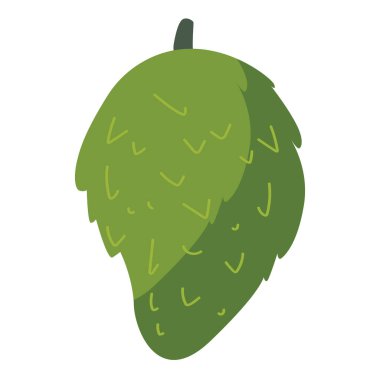 Vector soursop fruit vector illustration, buah sirsak or sirsat image, cartoon graviola or guanabana fruit isolated on white background, guyabano or annona muricata clipart