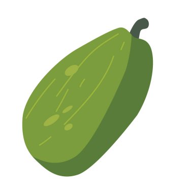 Papaya meyve vektör illüstrasyonu, beyaz arkaplanda buah pepaya izole edilmiş, karica papaya klipsli sanat resmi