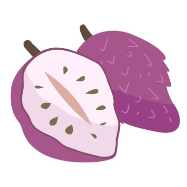 Purple custard apple isolated on white background, sugar apple vector illustration, buah nona ungu or srikaya patek langka clipart