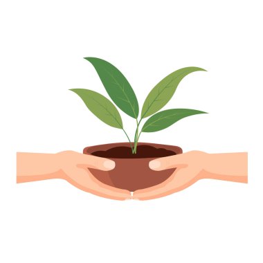 İki el genç yeşil bir bitkiyi tencerede tutuyor, küçük bir bitki veriyor, bitki tohumlarını teslim ediyor, beyaz arka planda izole edilmiş düz vektör illüzyonu.