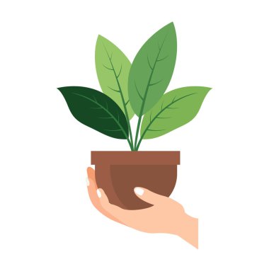 El ele tutuşan saksı vektör illüstrasyonu, çiçek saksısı taşıyan el, yeşil tohumu kaldıran eller.