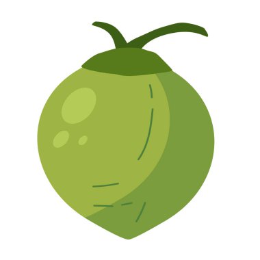 Whole green coconut palm fruit vector illustration, buah kelapa flat design icon isolated on white background  clipart