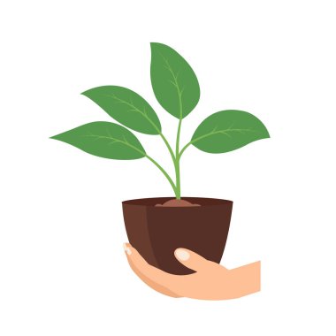 Hand holding young plant seed vector image, plant care concept flat illustration, hand carrying plant pot, small tree on human hand isolated on white