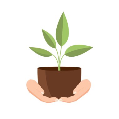 Hand carrying flower plant pot, flat design vector illustration, isolated on white background