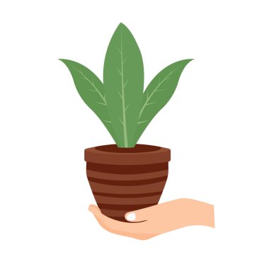 Hand holding young plant in pot vector illustration, hand carrying flower pot, flat design icon vector art, hand with tree plant seed or sprout, save nature or forest conservation concept