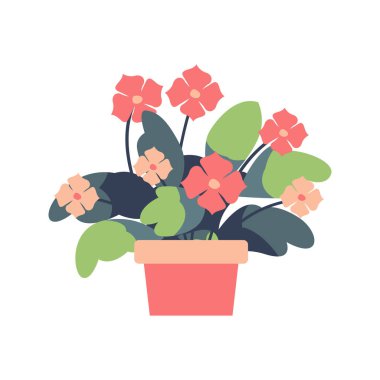 Saksılarda güzel çiçek bitkileri, düz tasarım vektör çizimleri, çiçek dekorasyonu elementleri.