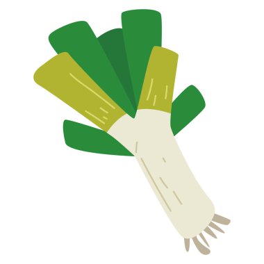 Pırasa sebze çizimi, bawang perai veya bawang prei çizgi film düz ikon tasarımı, sağlıklı yeşil yapraklı sebzeler