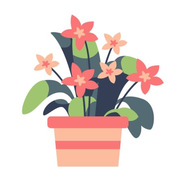 Ot vektör illüstrasyonunda pembe çiçekler, ev bitkisi ikonu, güzel çiçek tokası sanatı, beyaz arka planda izole edilmiş.