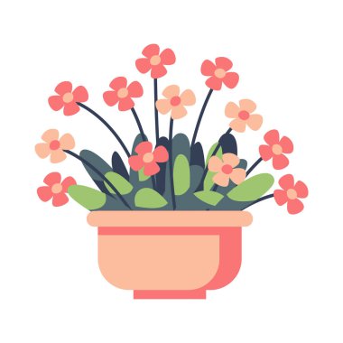 Saksıdaki dekoratif çiçek, düz tasarım vektör illüstrasyonu, çiçek saksısındaki bahçe çiçekleri, pembe kırmızı çiçek vektör sanatı.