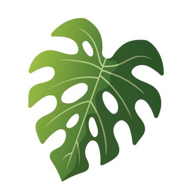 Yeşil canavar yaprak vektör çizimi, tropikal yaprak klipsi sanatı, beyaz arka planda izole edilmiş.