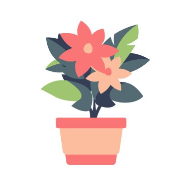 Kırmızı pembe çiçek bir kap vektör resim düz illüstrasyon, ev bitkisi kliması izole