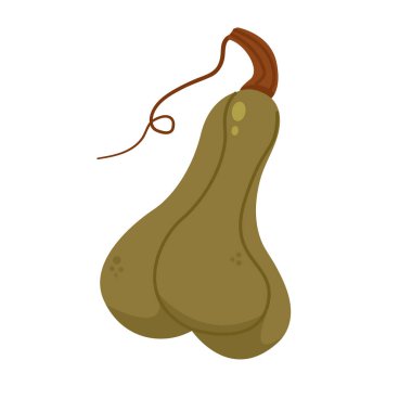 Kabak meyveli sebze çizimi, renkli balkabağı ikonu, garip şekilli balkabağı.