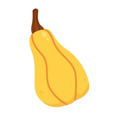 Beyaz arkaplanda izole edilmiş, düz stil vektör illüstrasyonunda sarı balkabağı