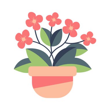 Ot vektör illüstrasyonunda pembe çiçekler, ev bitkisi ikonu, güzel çiçek tokası sanatı, beyaz arka planda izole edilmiş.