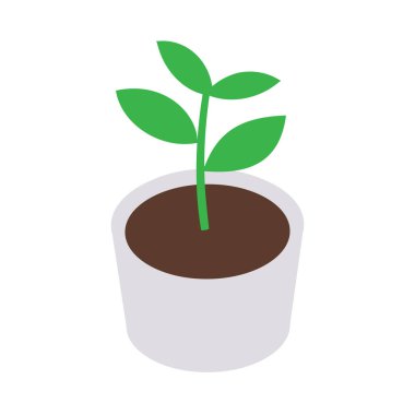 Esrar düz tasarım illüstrasyonunda basit bir bitki, kapalı ev bitkisi ev dekorasyonu, saksı bitkisi klipsi, beyaz arka planda izole edilmiş.