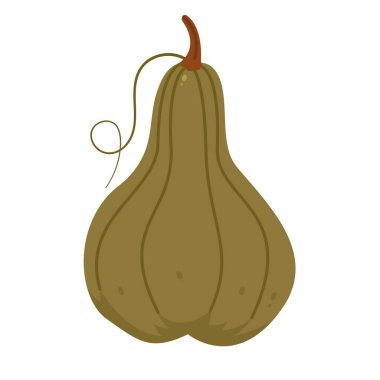 Beyaz arkaplanda izole edilmiş yeşil kabak clipart vektör çizimi