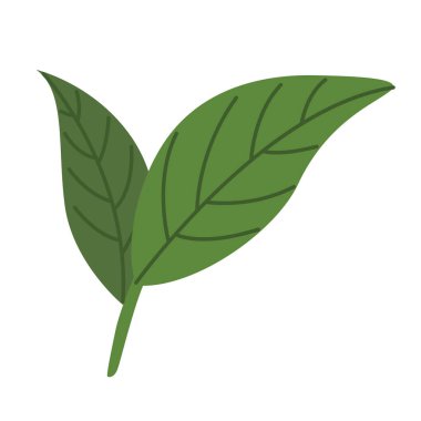 Yaprak klipsli sanat, klipsli sanat yaprağı, tropik yaprak vektörü, klipsli sanat tropikal yaprakları, beyaz arka planda izole edilmiş.