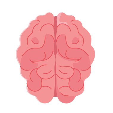 Beyin vektör sanatı, beyin klipsleme sanatı, beynin klipsleme sanatı, insan beyni üst görünümü, insan zihni düz ikon tasarımı çizimi.