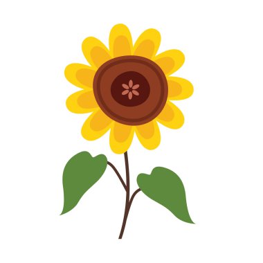 Ayçiçeği vektör illüstrasyonu, beyaz arka planda izole edilmiş, ayçiçeği klipsi sanatı, klipsleme sanatı, tatlı yaz çiçeği resmi