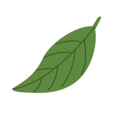 Yaprak klipsli sanat, klipsli sanat yaprağı, tropik yaprak vektörü, klipsli sanat tropikal yaprakları, beyaz arka planda izole edilmiş.