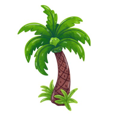 Hindistan cevizi ağacı illüstrasyon vektörü, klipsli Hindistan cevizi, hindistan cevizi palmiyesi klipsi sanatı, el çizimi suluboya resim tarzı