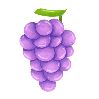 Üzüm tokası sanatı, üzüm illüstrasyon vektörü, üzüm tokası sanatı, toka sanat üzümü, el çizimi suluboya resim tarzı.