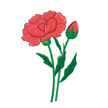 Karanfil klipsi sanatı, karanfiller çiçek vektör illüstrasyonu, beyaz arka planda izole edilmiş, sanat karanfili. 