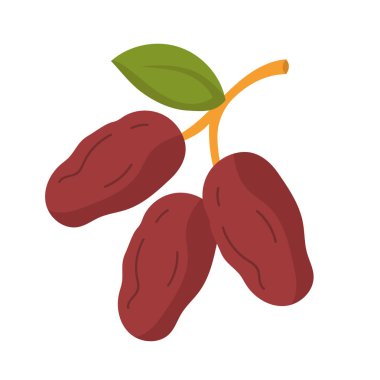 Meyve vektörü illüstrasyonunu tarihler, meyve tokası sanatı, beyaz arkaplanda izole