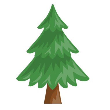 Doğa çizimi için Evergreen Pine veya ladin ağacı vektörü