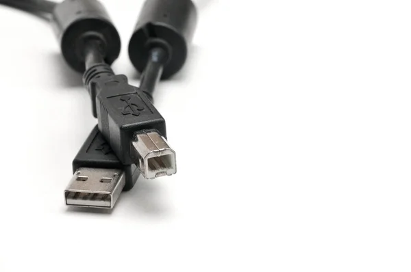 USB A ve USB B erkek yazıcı kablosu izole edilmiş beyaz arka grup üzerinde