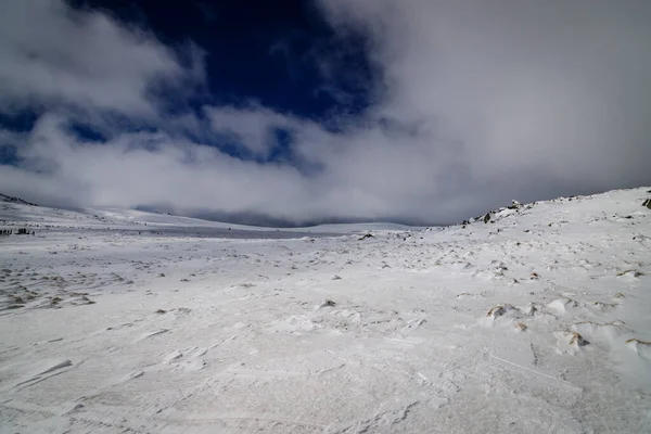 Una Excursión Invierno Montaña Vitosha — Foto de Stock