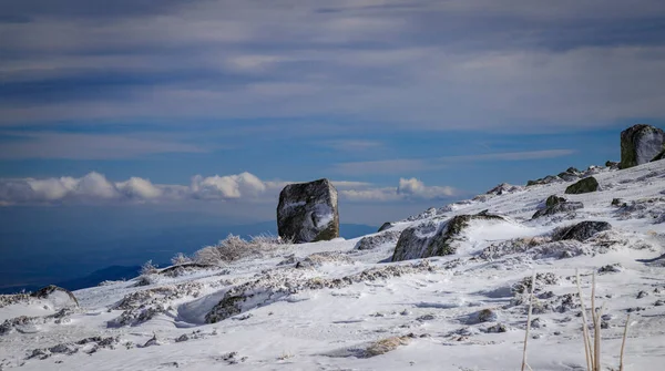 Escursioni Invernali Nella Montagna Vitosha — Foto Stock