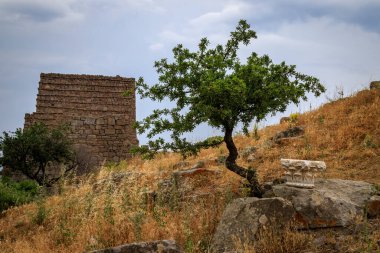Assos - bugünkü Behramkale yakınlarında antik bir Yunan kenti